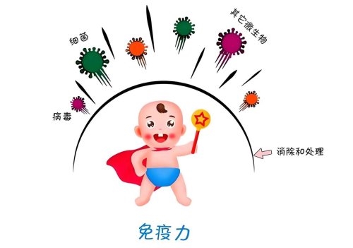 宝宝抵抗力差，乳铁蛋白奶粉哪个品牌好性价比高？2026年热门品牌深度测评